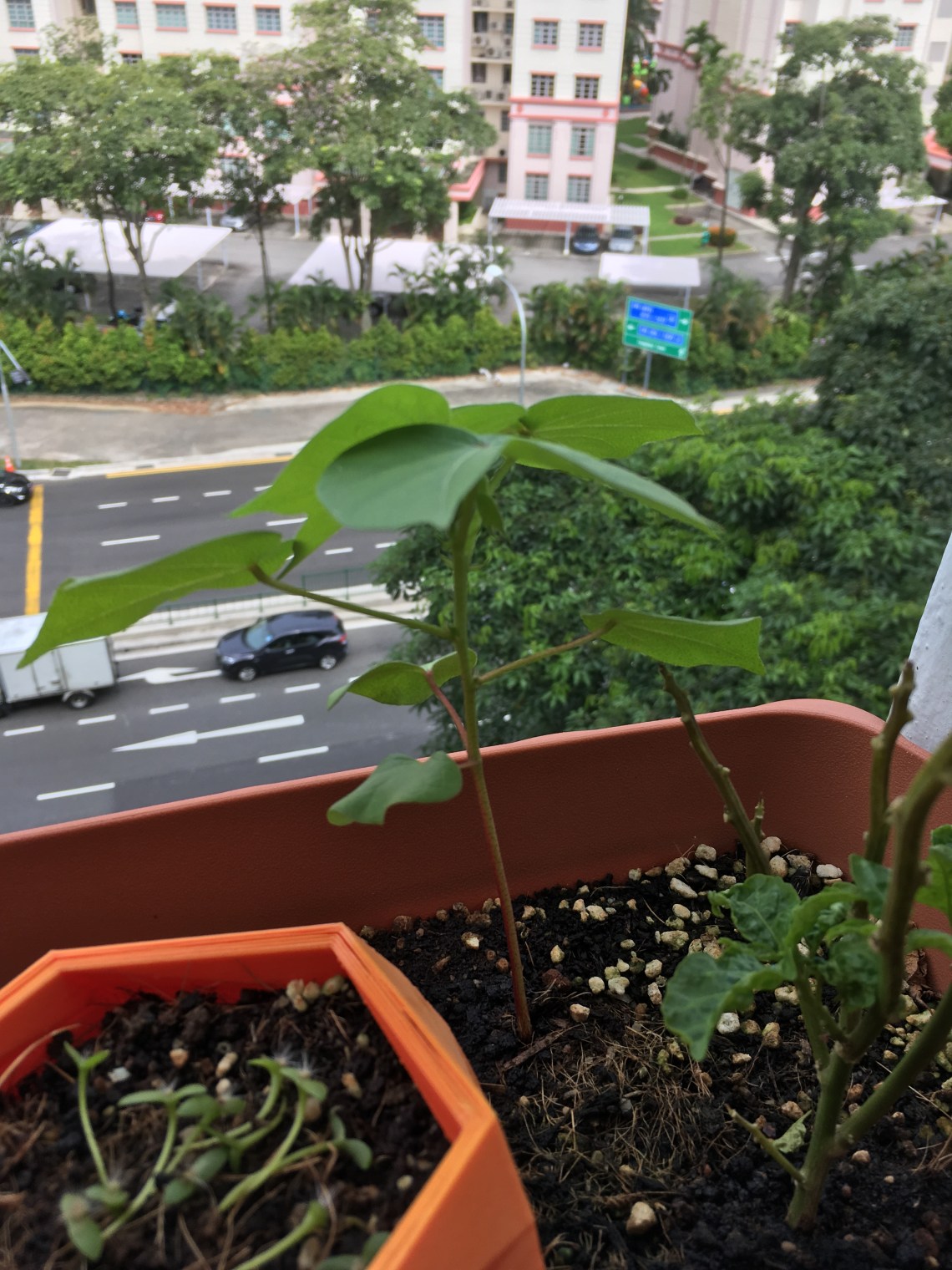 Photo 11-6-17, 3 18 53 PM