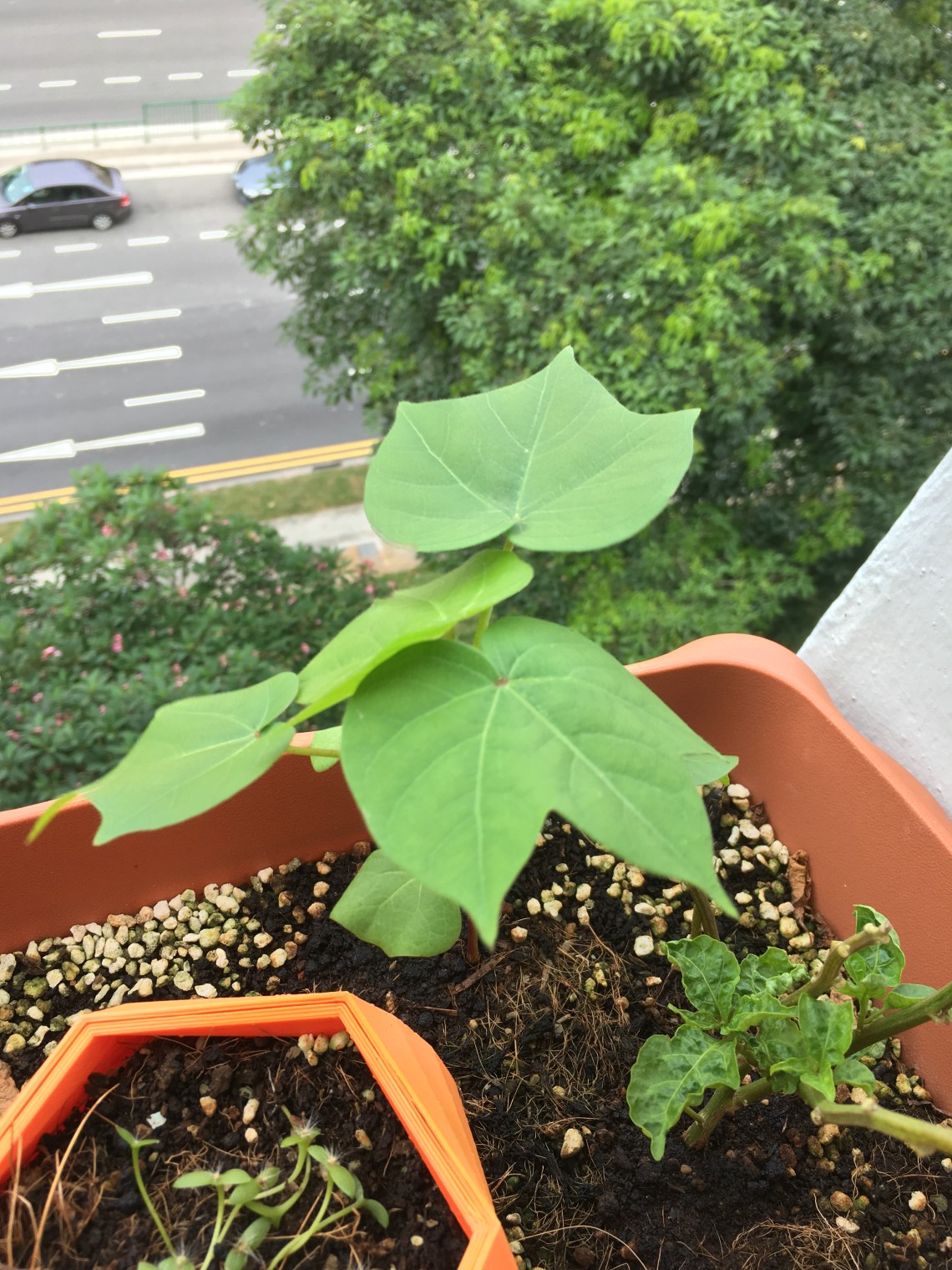 Photo 11-6-17, 3 19 11 PM