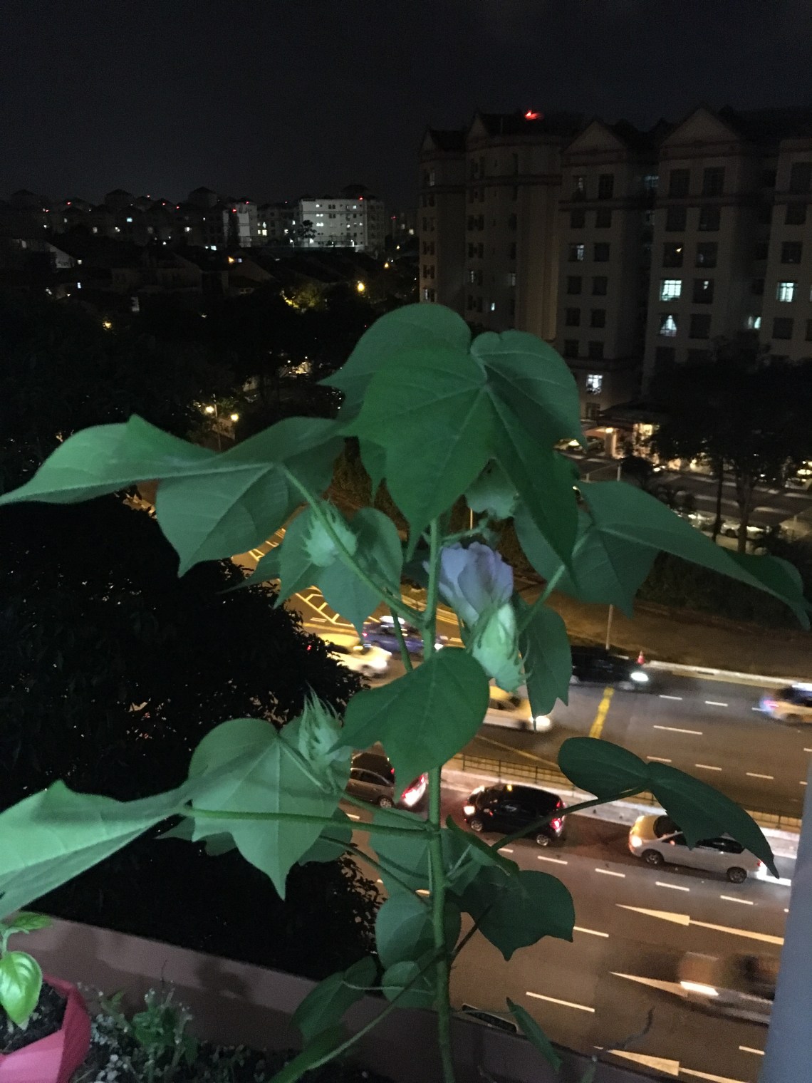 Photo 12-7-17, 8 24 18 PM