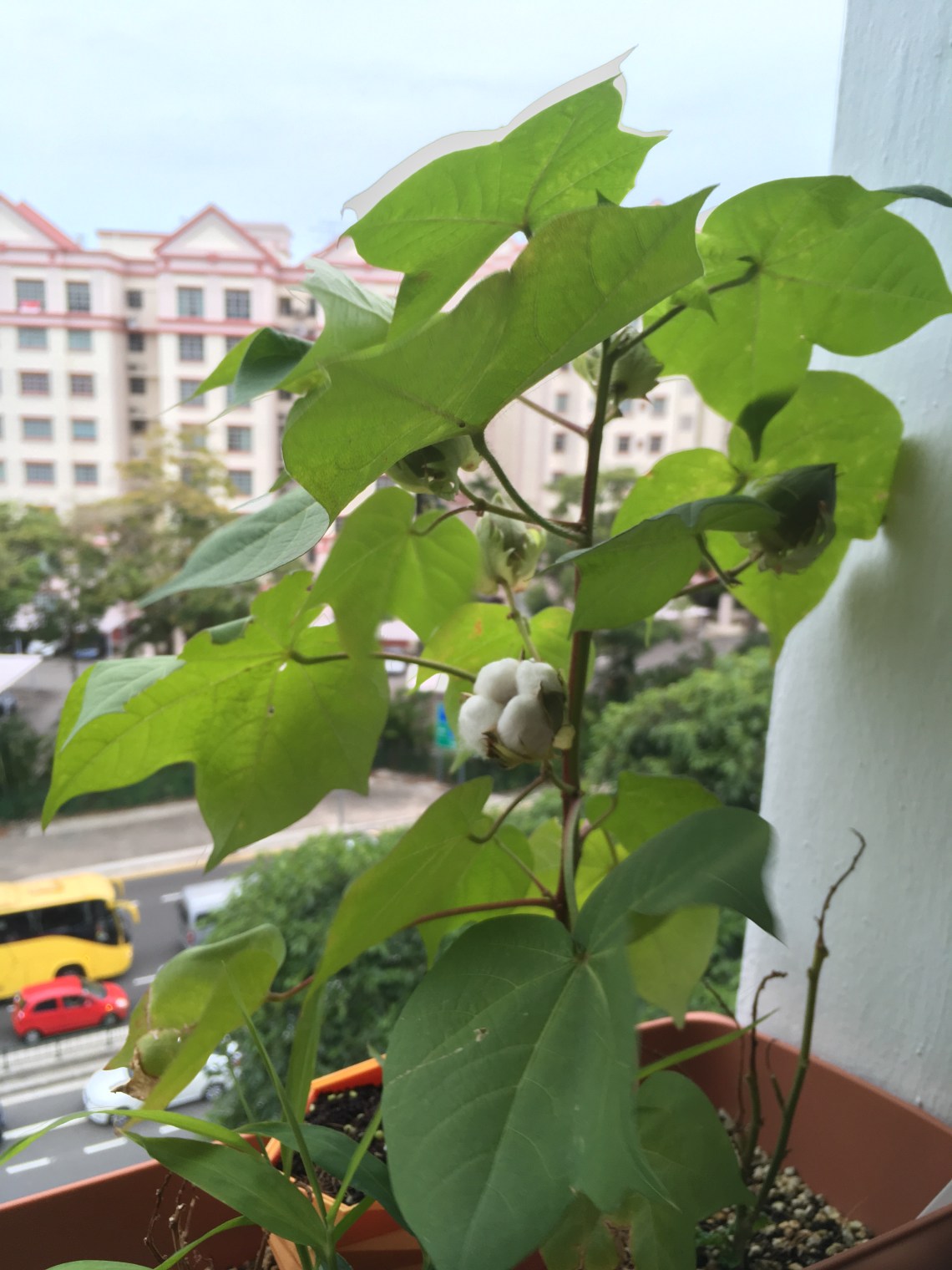 Photo 22-8-17, 5 43 43 PM